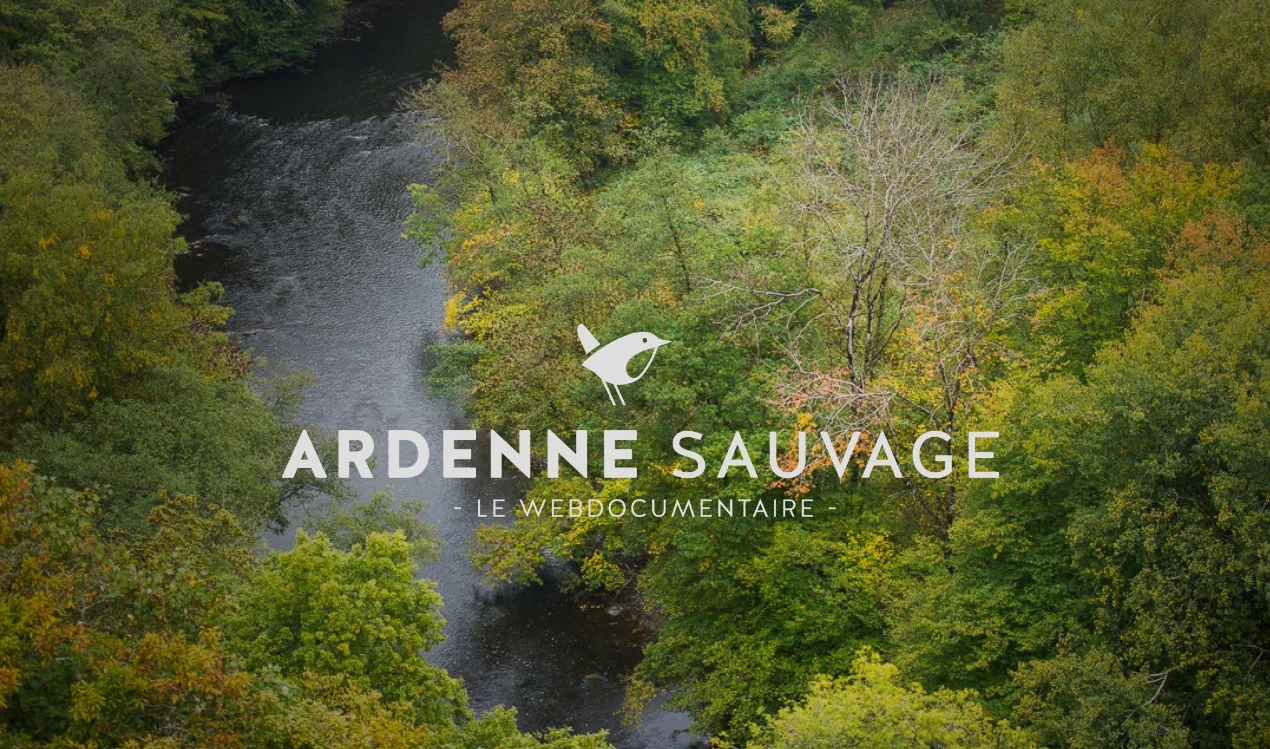 Glamping in the Ardenne forest - transparent bubble unique accommodation