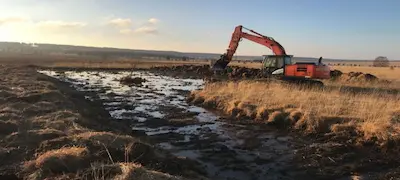 Tourbière restaurée par le projet LIFE Croix-Scaille en Wallonie