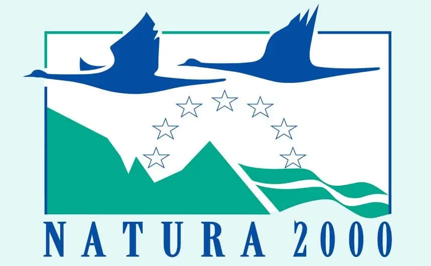 Réseau Natura 2000 en Wallonie – milieux forestiers et cours d'eau protégés