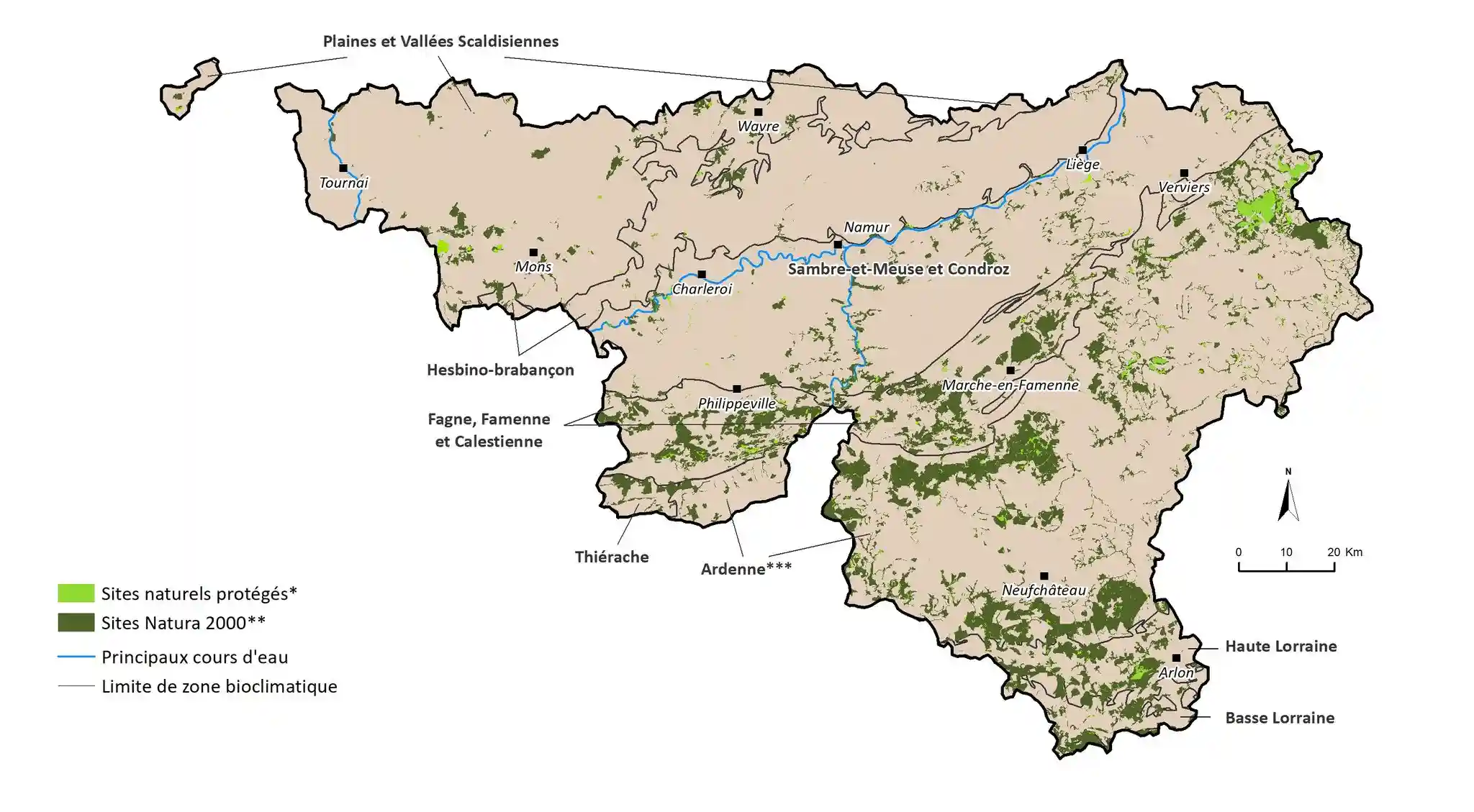 Forêt alluviale UG 7 – milieu inondable protégé en Natura 2000