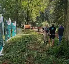Foto: Biwak in den Ardennen