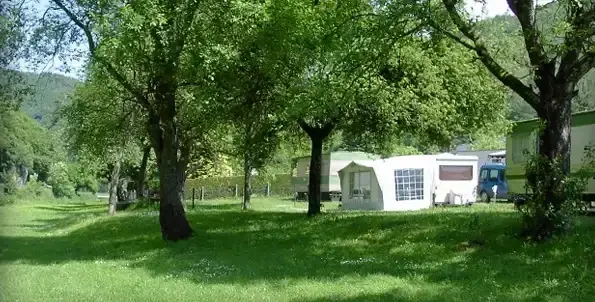 Forêts ardennaises autour des campings de la Semois